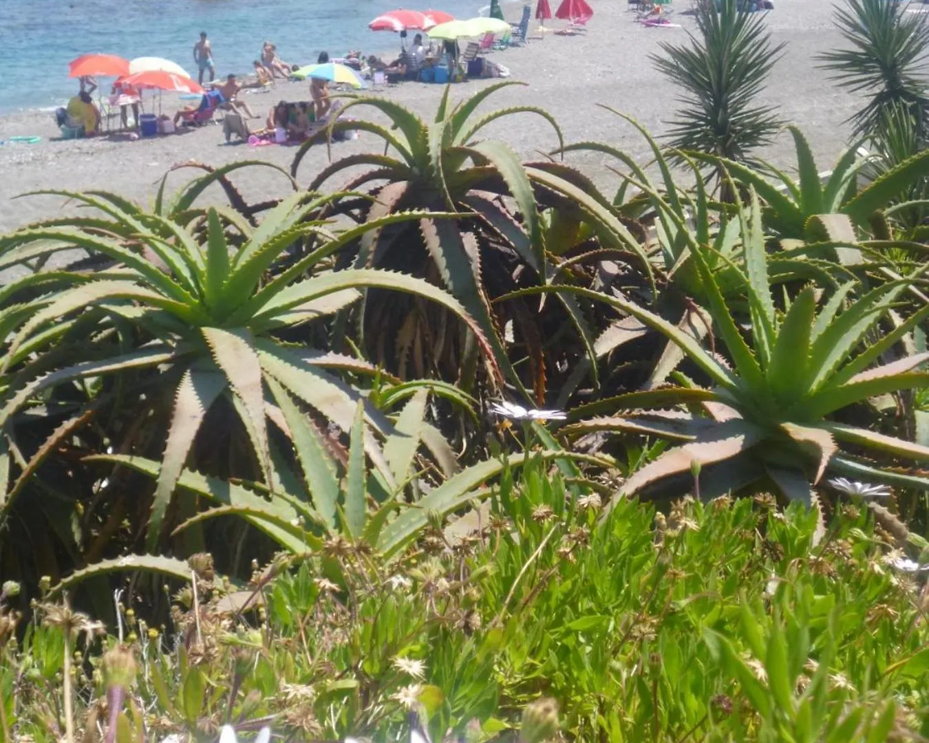 2108-Nice Apt With Pool Close From Beach And Bars Manilva Apartment